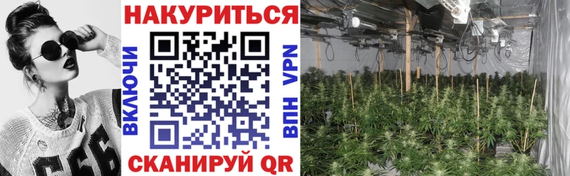 МАРИХУАНА тримм  как найти   Касли 